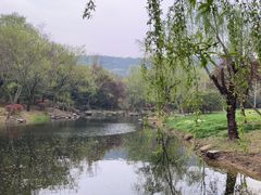 -宝界山林公园