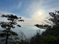 -王顺山国家森林公园