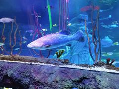 -沈阳海洋探索中心