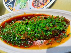 煎烧黄河大鲤鱼-东华大酒楼(主楼店)