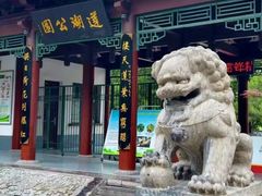 -莲湖公园