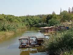 -上海长兴岛郊野公园