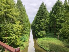 -黄海国家森林公园