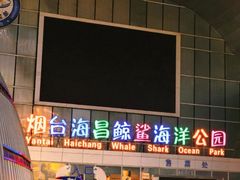 -烟台海昌鲸鲨海洋公园