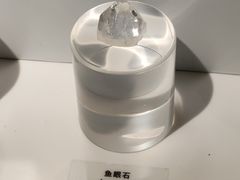 -正佳自然科学博物馆