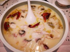 奶酸鱼-大树餐厅(朝阳大悦城店)