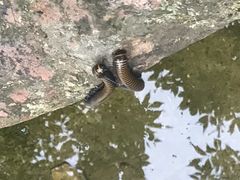 -玉渡山风景区-售票处