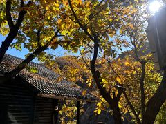 -北京水岸山吧度假村(雁栖镇店)