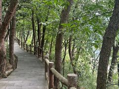 -铁山坪森林公园