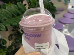 -一只酸奶牛(兰州中心店)