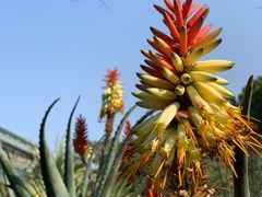 -华南国家植物园-售票处