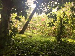 -白沙门生态公园