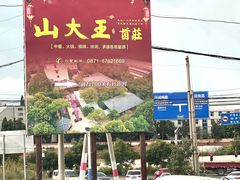 -山大王菌莊