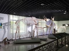 -自然谷恐龙园