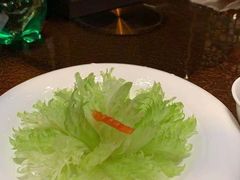 -成都保利公园皇冠假日酒店(熊猫基地店)