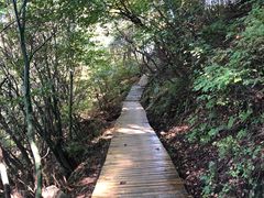 -少华山国家森林公园