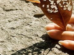 -福建鲤鱼洲酒店