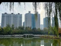 -莲湖公园