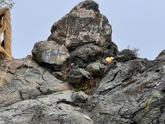 -北京西山国家森林公园