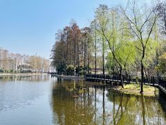 -武汉大学-樱园