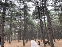 -长春净月潭风景名胜区