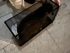 -爱侣宠医·鹦鹉专科·小型哺乳类·异宠专科(灵石路店)