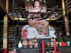-峨眉山报国寺