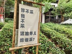 -天目湖山水园