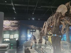 -国家自然博物馆