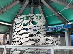 -海底巡游艇:尼莫和好友的海洋世界