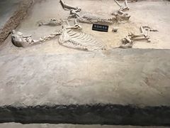 -洛阳周王城天子驾六博物馆