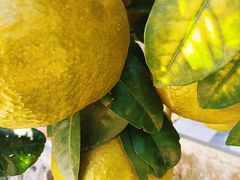 -梅州天地人花园酒店(梅县人民广场店)