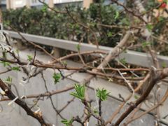 -泡泡玛特POPMART(崇文门国瑞城店)