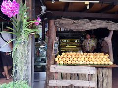 -自然餐厅(Phuket)