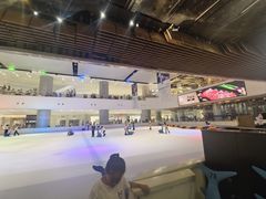 -TheRink大零溜冰场(IFS国金中心店)