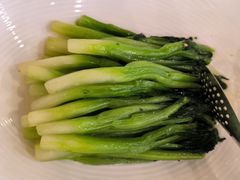 -巴音浩日娲酒楼(双林东路店)