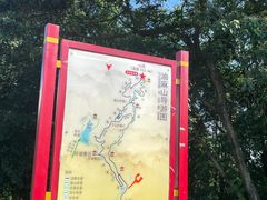 -黄埔油麻山森林公园