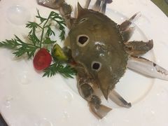 -莆鑫海鲜城(浏河店)