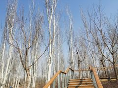 -东郊湿地公园