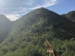 -大岭沟猕猴桃谷风景区
