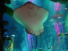 -沈阳海洋探索中心