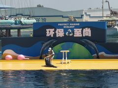 -秦皇岛乐岛海洋王国