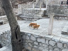 -北京凤凰岭