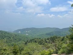 -鲁山国家森林公园