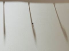 -大杰海鲜锅(基隆路店)