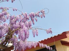 -意大利农场西餐厅(顺义店)