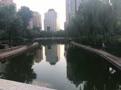 -团结湖公园