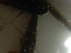水库活鱼馆-水库活鱼馆(于桥水库店)