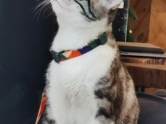 -坊间咖啡馆(贝岗店)