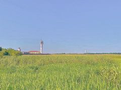 -上海吴淞炮台湾国家湿地公园